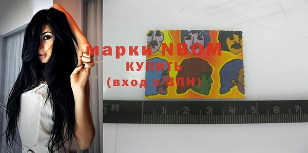 амф Горняк