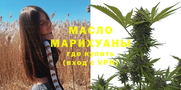 амф Горняк