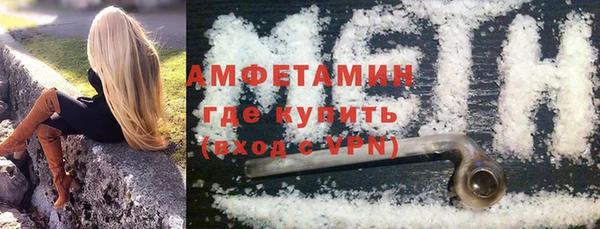 амф Горняк