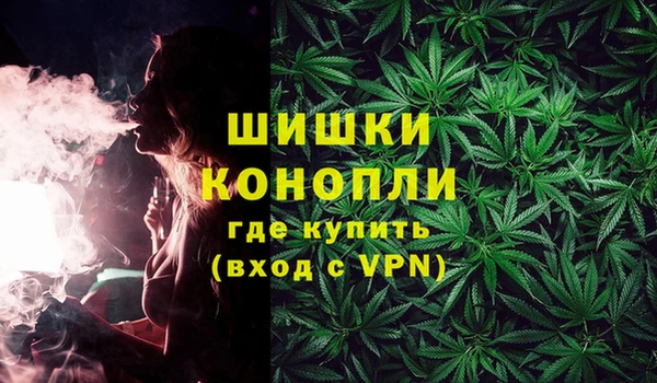 амф Горняк