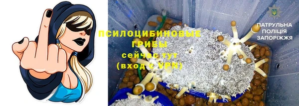 трава Горнозаводск