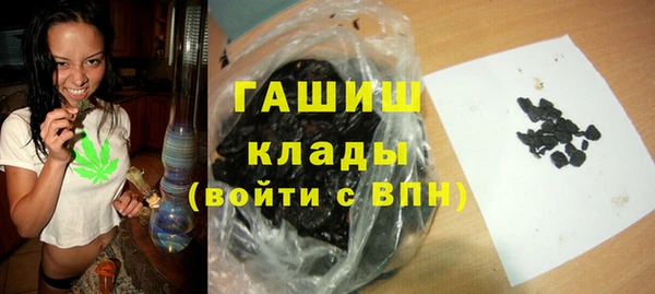 амф Горняк
