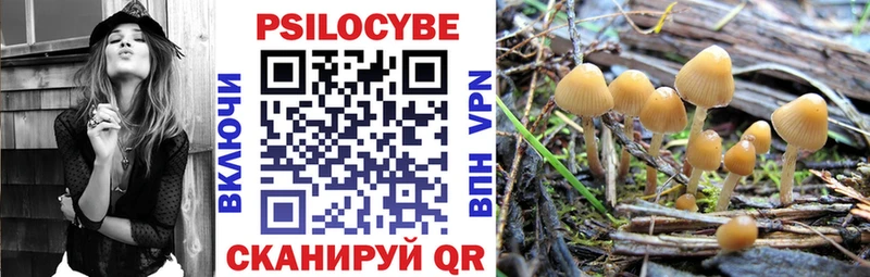Псилоцибиновые грибы GOLDEN TEACHER  Купить где  Камешково 